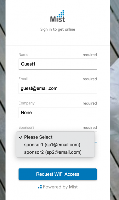 A screenshot of a contact form Description automatically generated