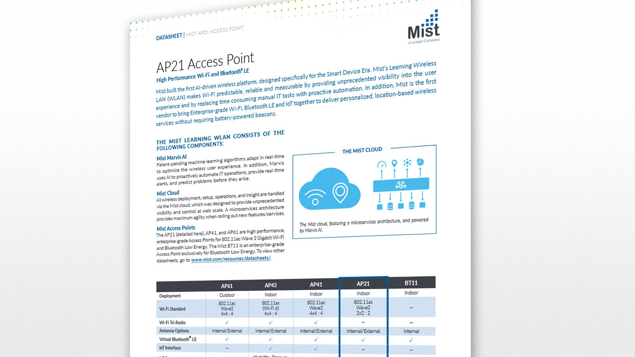 AP21 Access Point